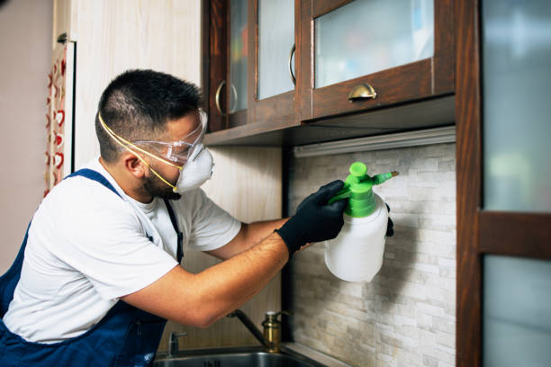 Wildlife Control Services in Rosemont, CA