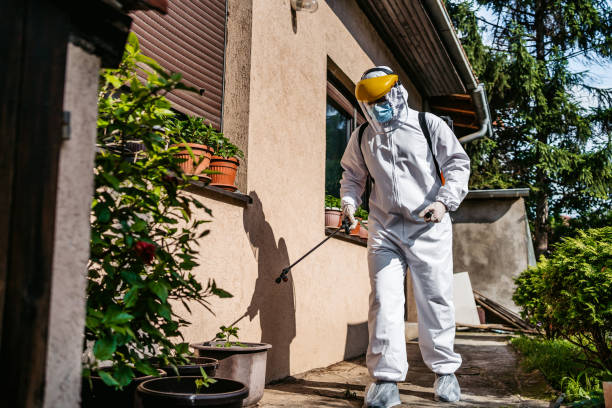 Pest Prevention Services in Rosemont, CA