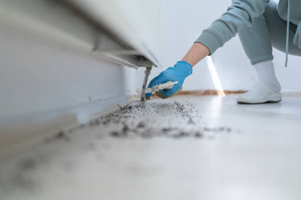 Best Pest Inspection Near Me  in Rosemont, CA
